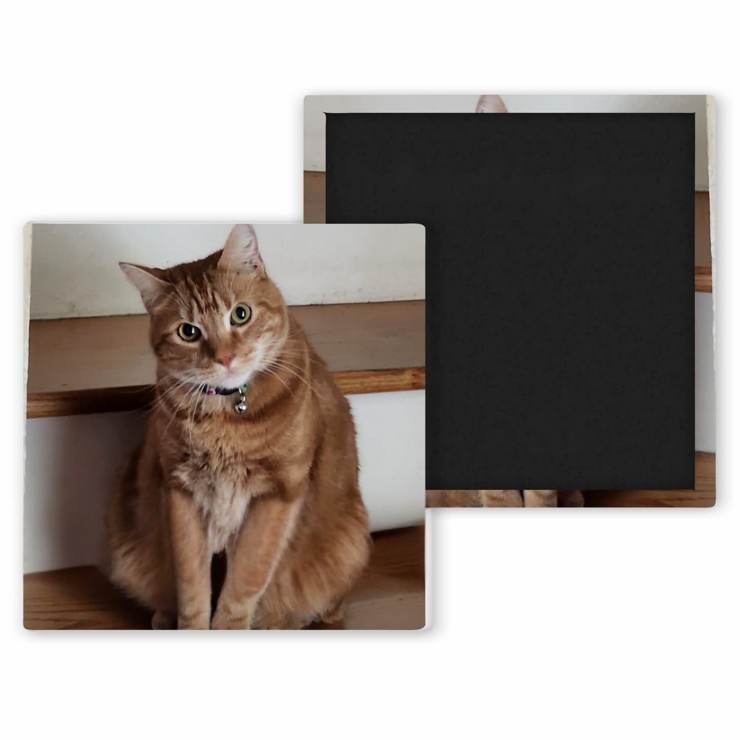 orange cat sitting on steps