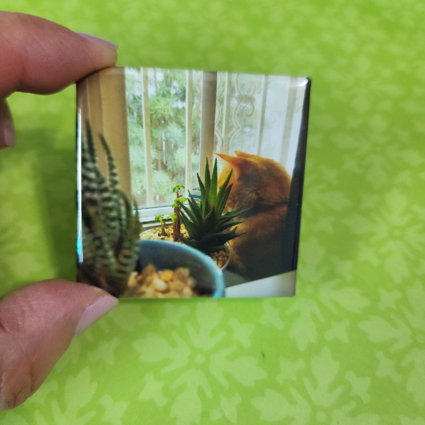 Small square magnet with a cat and plants held by a hand on a green patterned background