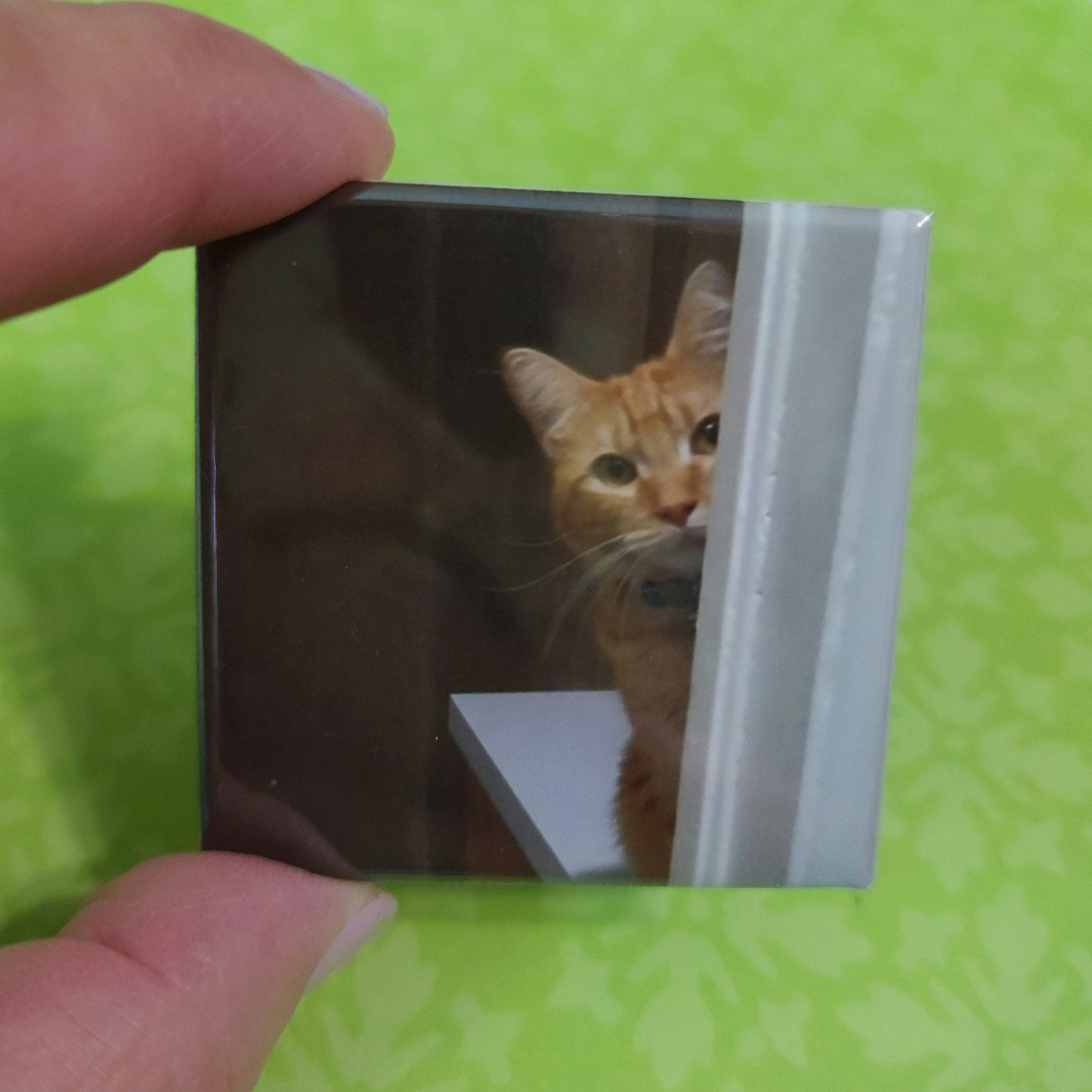 Hand holding a small magnet with a cat peeking through a door against a green background