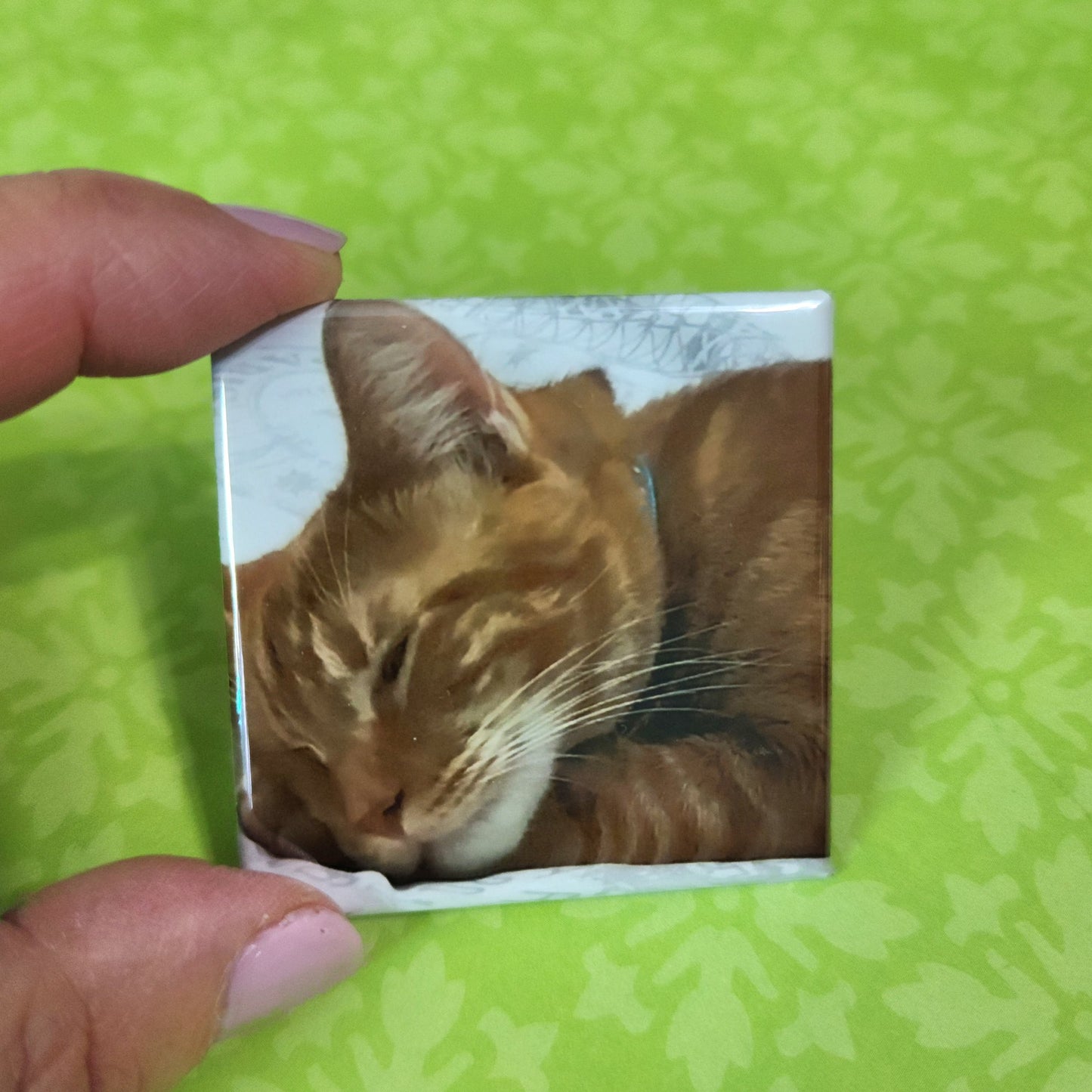 Small square magnet with a sleeping cat's face on it, held by a hand against a green background