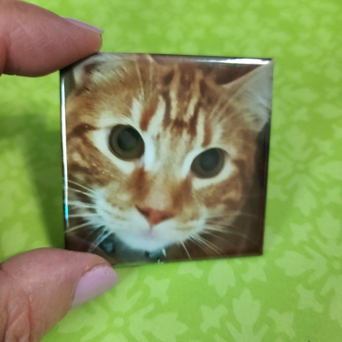 Square magnet with a cat's face held by a hand on a green patterned background