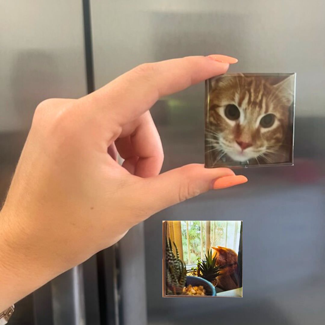 hand holding a photo magnet of a yellow cat infront of a fridge door