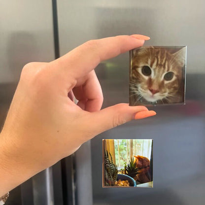hand holding a photo magnet of a yellow cat infront of a fridge door